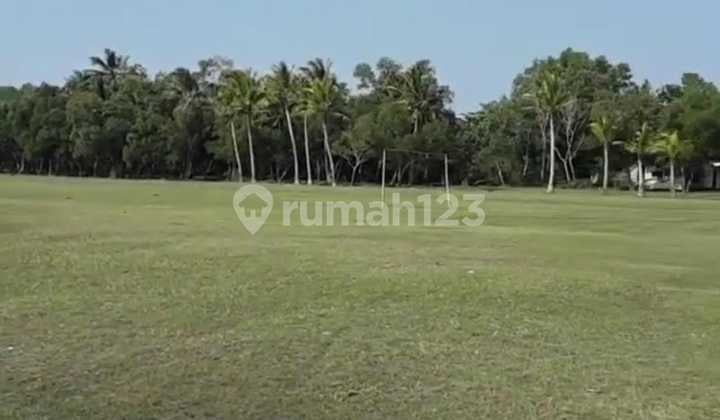 Jual Kavling Premium 4 Ha Murah 400 Rb Cocok Untuk Investasi Usaha Tanjung Lesung Banten Jabar