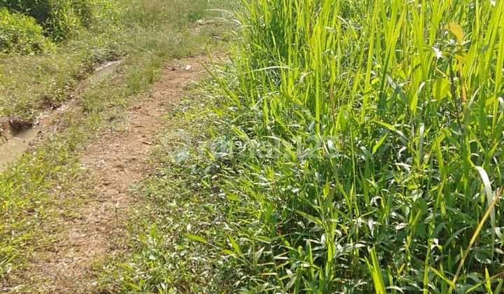 Sell Land Commercial Location 4 Ha Suitable for Warehousing Housing Banten West Java
