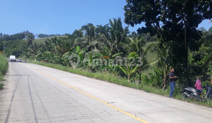 Tanah Bakauheni murah komersil