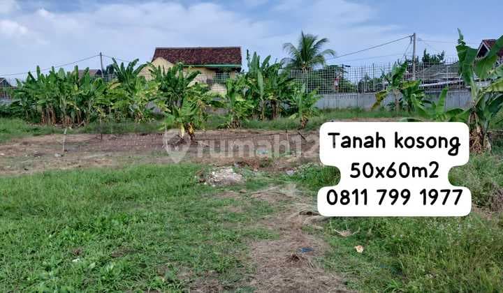 Jual Cepat Tanah Kosong Kedamaian Tanjung Karang Timur SHM
