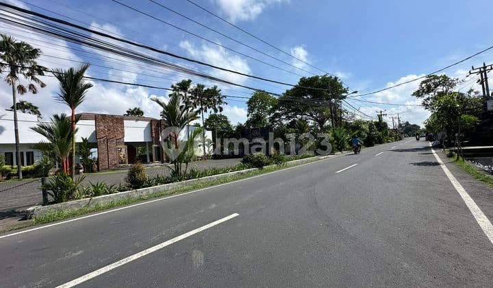 For Lease 20 Ares of Land on Sedap Malam Main Road, Denpasar