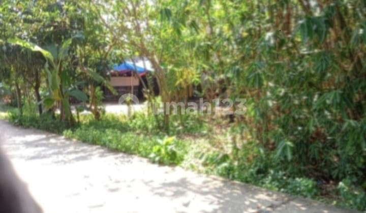 Jual Tanah Murah di Cisauk, Siap Bangun, Sdh SHM, Bs Dibangun Utk Gudang, Workshop, Rumah Tinggal, Lebar Jalan bisa 2 Mobil,, Lebar Dpn 15 M