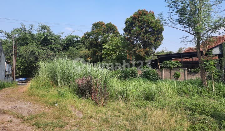 Tanah, murah, di pinggir Jl. Raya Serpong, Dijual Dibawah Hrg Pasar, Dkt Bsd, Dkt Akses Tol Ke Balaraja Dan Depok, Dekat Pasar Serpong.