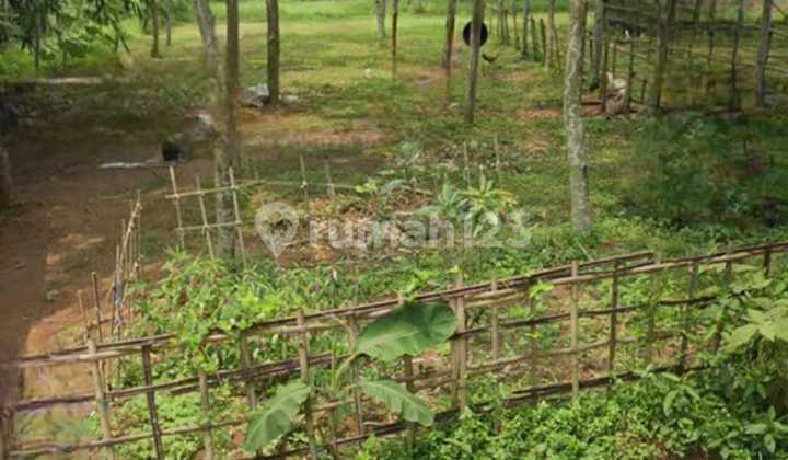 Dijual Tanah di Jl. Ry Jagabita, Parung Panjang, Kab Bogor, SHM