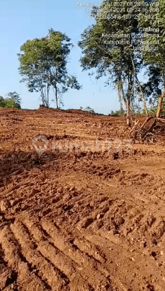Tanah Murah Utk Perumahan villa Daerah Selawi Purwakarta