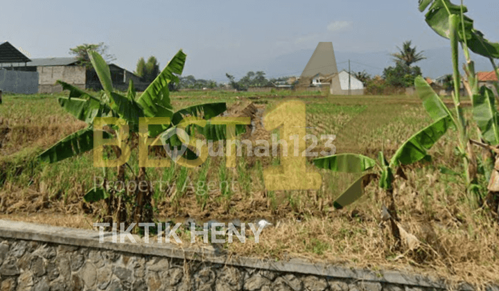 Tanah Matang Daerah Kopo Soreang, Cocok Untuk Perum, Gudang, Dll