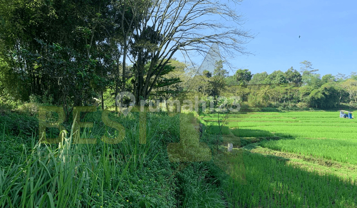 Dijual Tanah Murah 1 Sampai 27 Ha Utk Perum, Wisata Cianjur Kota