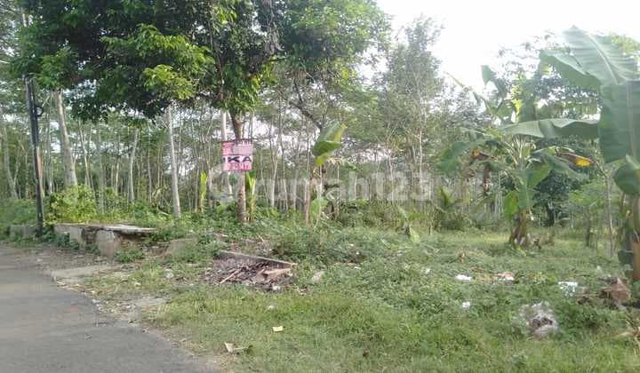 Dijual Tanah Luas Murah Purwokerto Selatan (Pap3964)