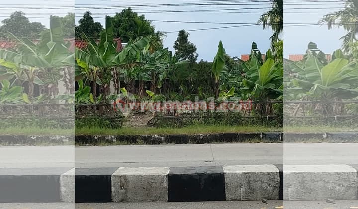 Dijual Tanah Bebas Banjir Cilacap (Pw001452)