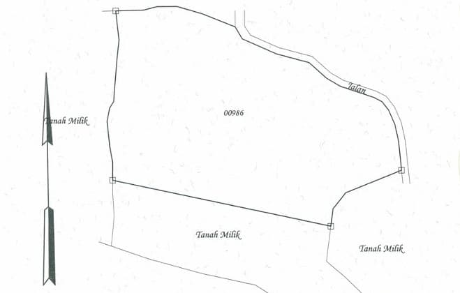 Dijual Tanah 3,5 Hektar di Kubutambahan Dekat Bandara Bali Utara