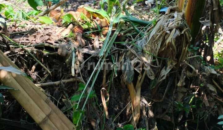 Tanah Dijual Jalan Werkudara Munggu Dekat Canggu