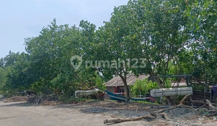 Tanah Los Pantai Bandara Bali Utara