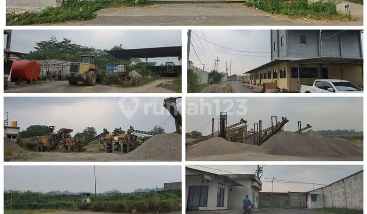 Raya Domas Trowulan Mojokerto Stonecrusher 51.7m 2.6ha 2jt Nego