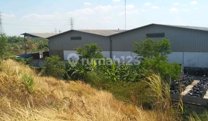 Pabrik Mastrip Warugunung 50m Harga Miring Cm 2jt Per Meter Nego