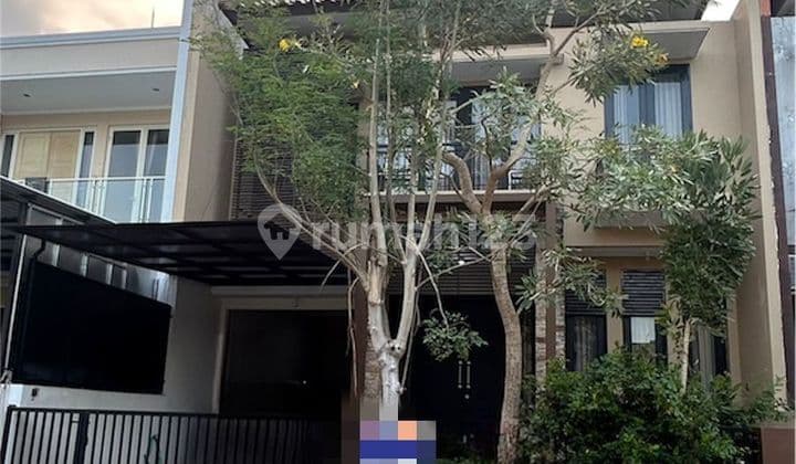 Kertajaya Indah Regency Rumah Minimalis Terawat 4.2m Nego Bagus