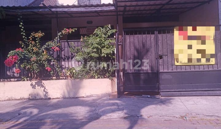 Rumah Siap Huni Sdps Belakang Papaya 2.5m Nego Bagus Murah