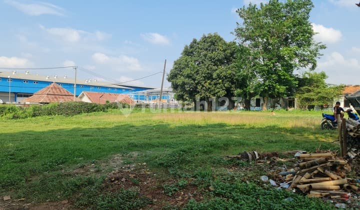 Tanah Luas Desa Walahar, Karawang