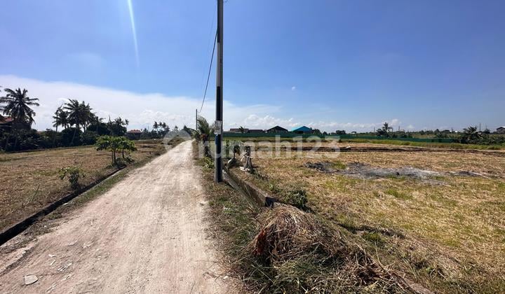 Seseh Bali Plot Area 2750m2 Price 18 million Lease Hold 25 Years