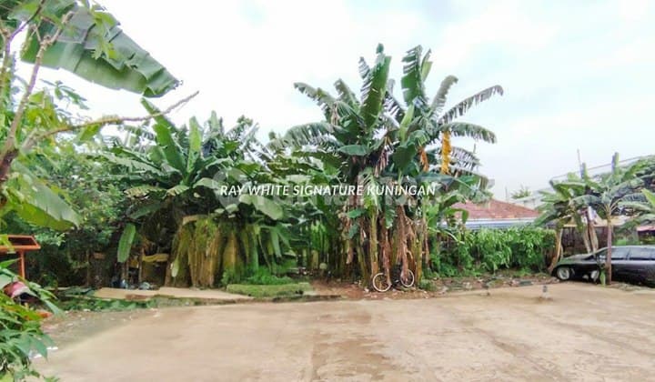 Tanah Kavling Cocok Untuk Hunian di Jl Gajah Mungkur Duren Tiga