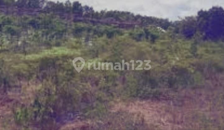 Dijual Tanah Luas 300 Ha di Kalimantan tengah palangkaraya