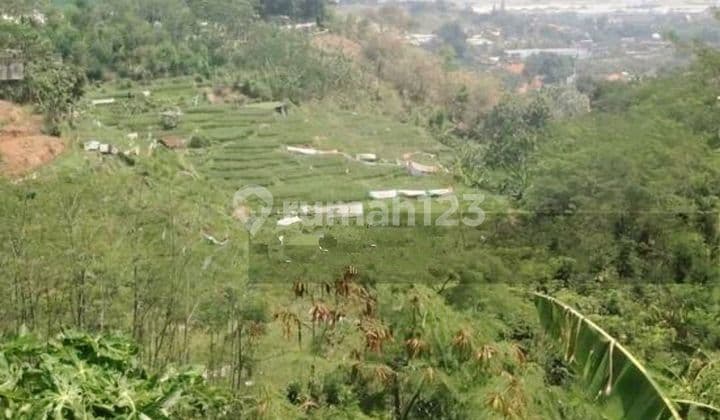 Kavling Di Tambakaji