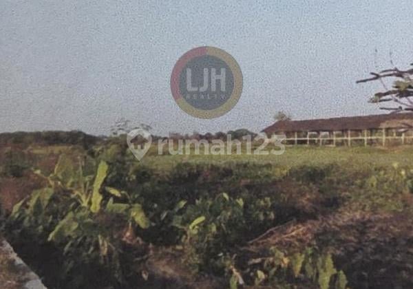 Kavling cocok untuk industri di Klaten