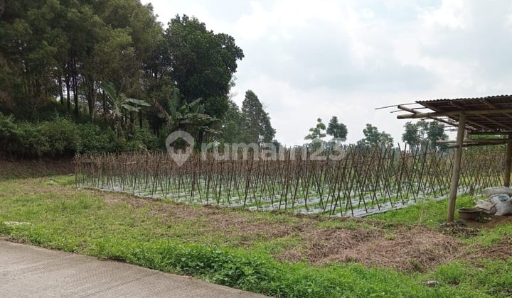Kavling Di Daerah Bojong, Tegal