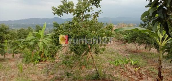 Tanah di dekat Kawasan Wisata Guci