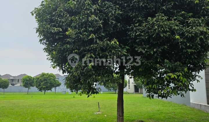 Kavling Alam Suvarna Sutera Luas 200 Meter Siap Bangun Nego Tipis