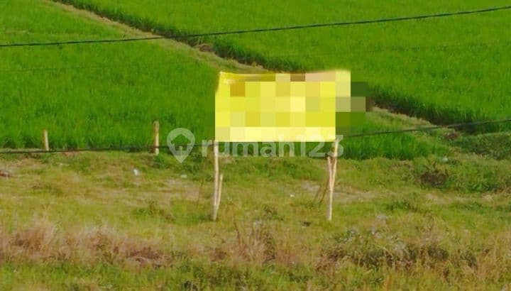 Dijual Cepat Tanah di Jl. Halimun, Gandasari, Katapang, Bandung