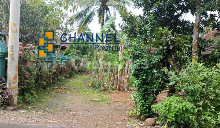 Jual Tanah Kavling Bonus Rumah Dekat Kampus Ipb Dramaga Bogor, St