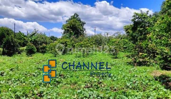 Jual Tanah Kavling Lokasi Strategis Dekat Tol Sawangan Depok, Ls