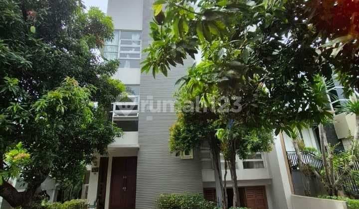 Rumah Kost Produktif di Tegal Parang Mampang Gatot Subroto