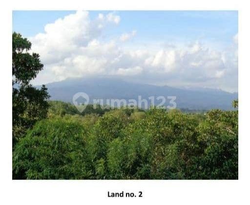 Lands In West Bali, Purposes Such As Villas, Resorts, Etc