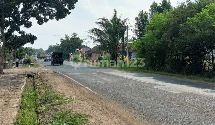 Jual Cepat Tanah Diterbanggi Besar, Lampung Tengah