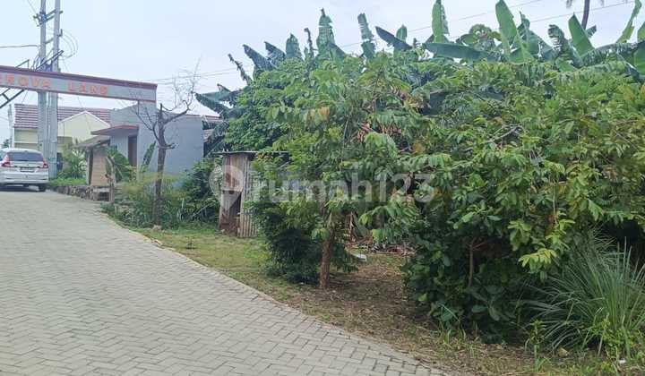 Di Jual Tanah Cocok di Buat Kos-Kosan Lokasi Kampung Baru Unila