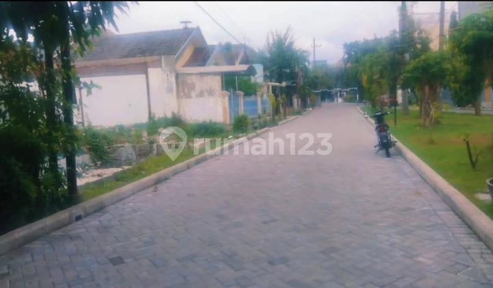 Kav griyo mapan utara