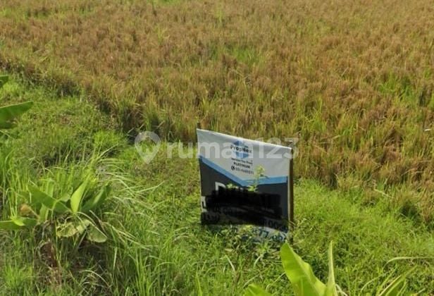 Tanah di Karangbong gedangan sidoarjo nol.jalan samping aim biskuit