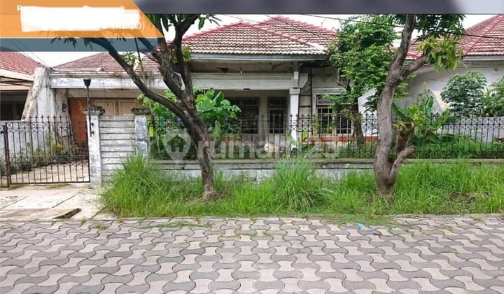 Manyar Indah Rumah 1lt