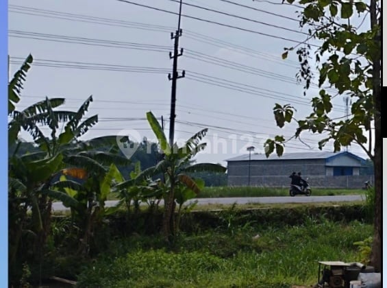 Raya Mojowarno Jombang Tanah Industri