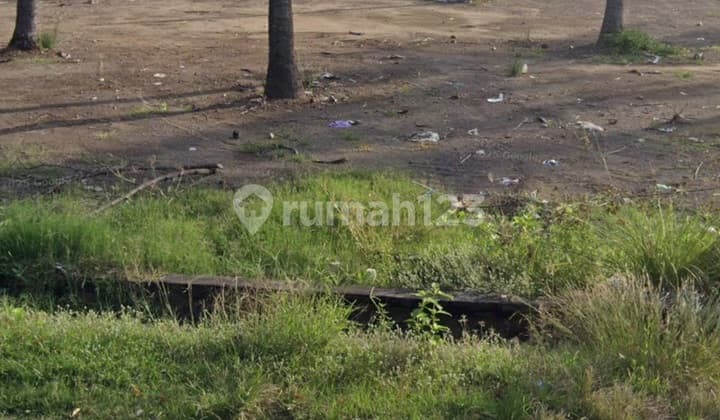 Air Sanih Buleleng Bali Beachfront Street