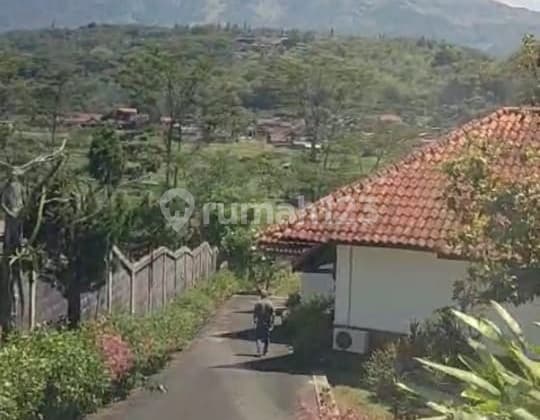 Jl. Airlangga Trawas Mojokerto