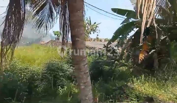 Raya Denpasar Gilimanuk Beachfront