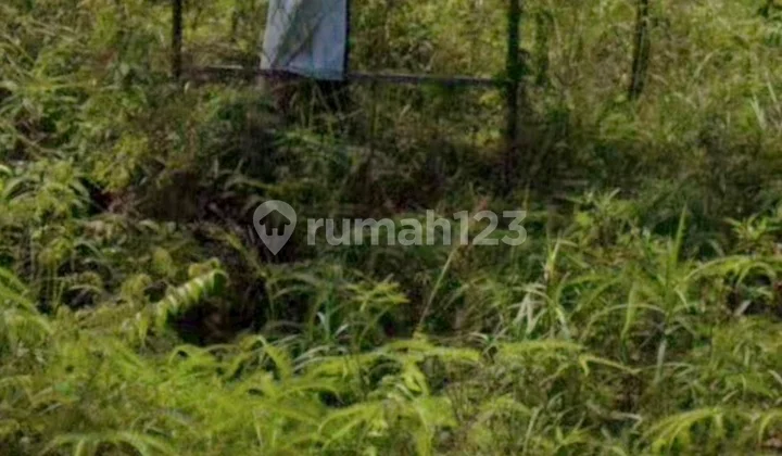 Martapura Kalimantan Selatan Cck U Pergudangan