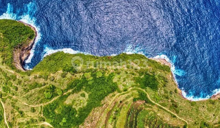 Kelingking Cliff Beach View Nusa Penida Bali