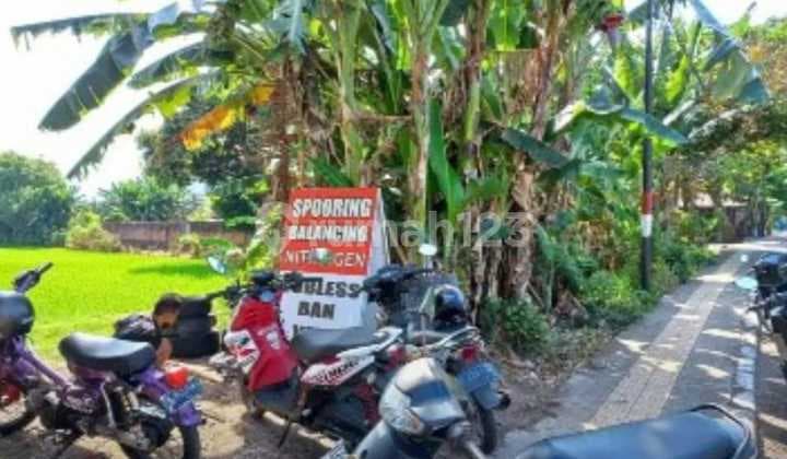 Raya Udayana Negara Bali