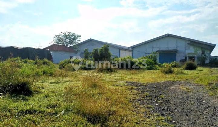 Raya Balongpanggang Gresik