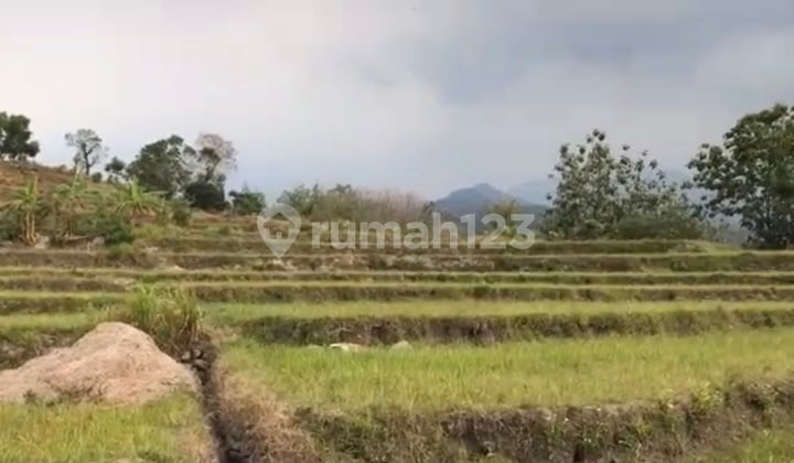 Pacet Mojokerto Cck Untuk Wisata Taman Bermain