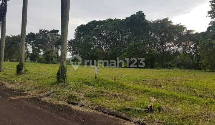 Tanah View Golf Di Gading Golf Timur Gading Serpong