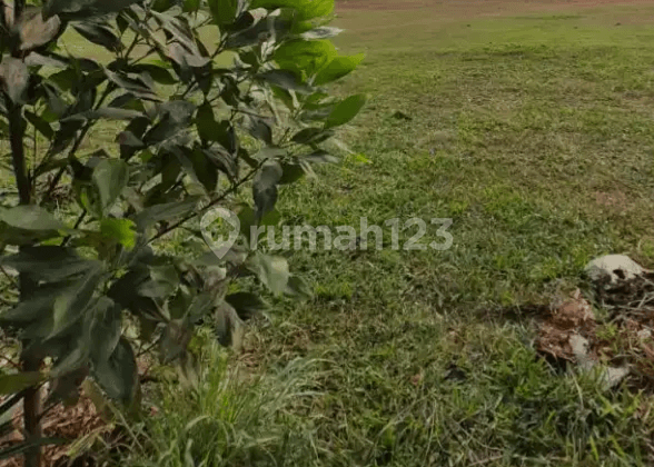 Kavling Untuk Gudang di Kawasan Industri dekat BSD City Tangerang